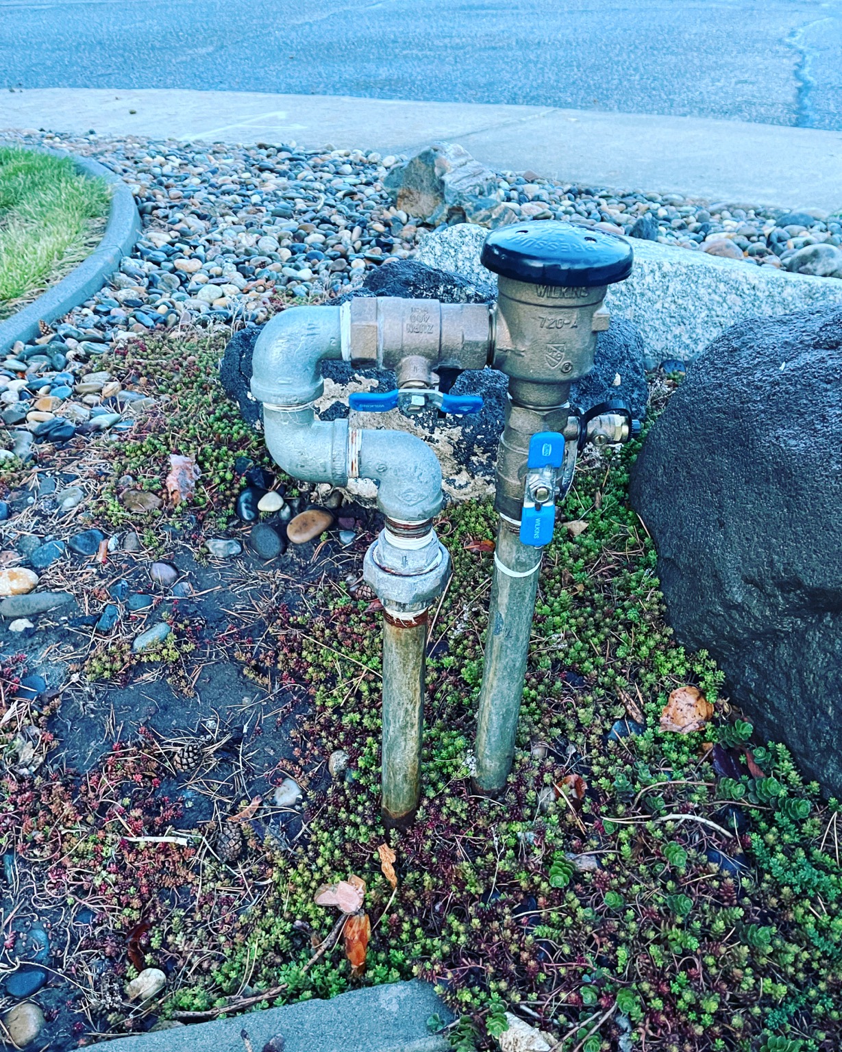 Wilkins 720A backflow preventer set in rock bed next to a driveway in Richland