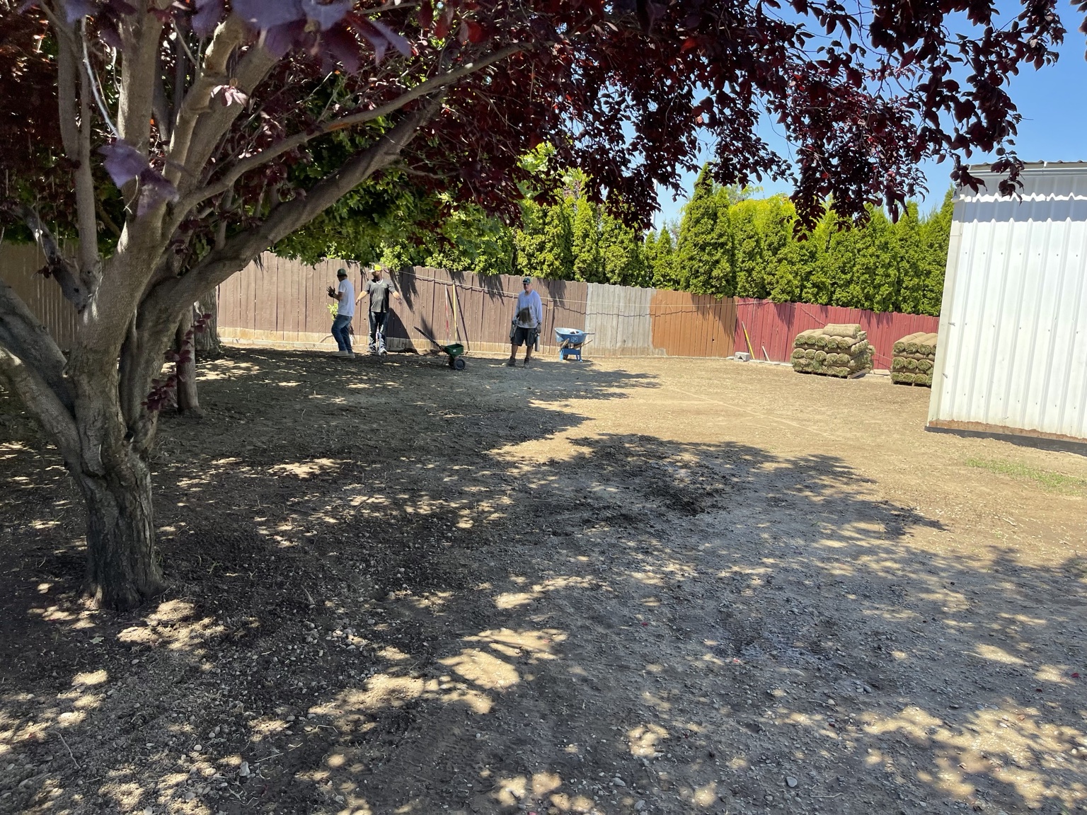 Crew grading a shaded backyard with pallets of sod stacked along the fence in W. Richland